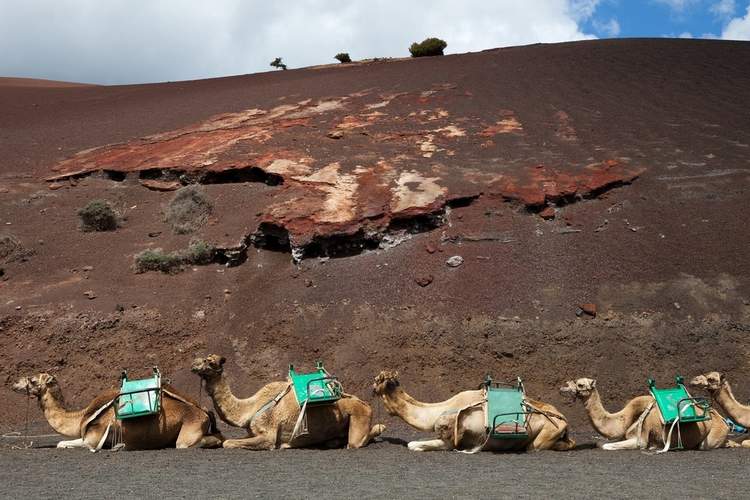 journée de découverte au parc naturel de Timanfaya à Lanzarote aux Canaries