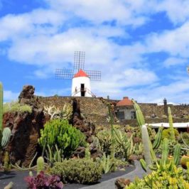 visite du jardin de cactus à Lanzarote aux Canaries