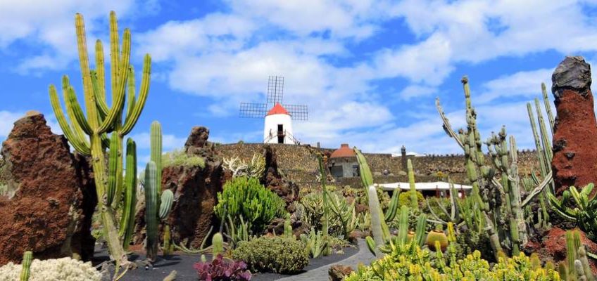 visite du jardin de cactus à Lanzarote aux Canaries