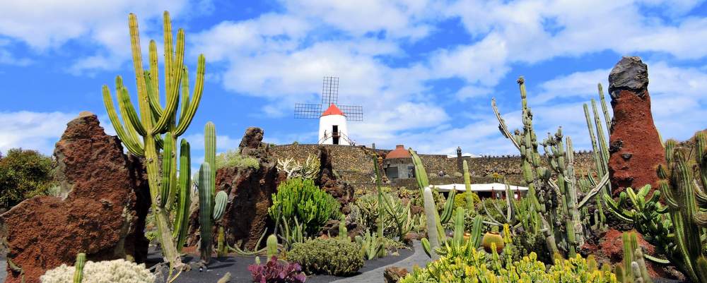 visite du jardin de cactus à Lanzarote aux Canaries