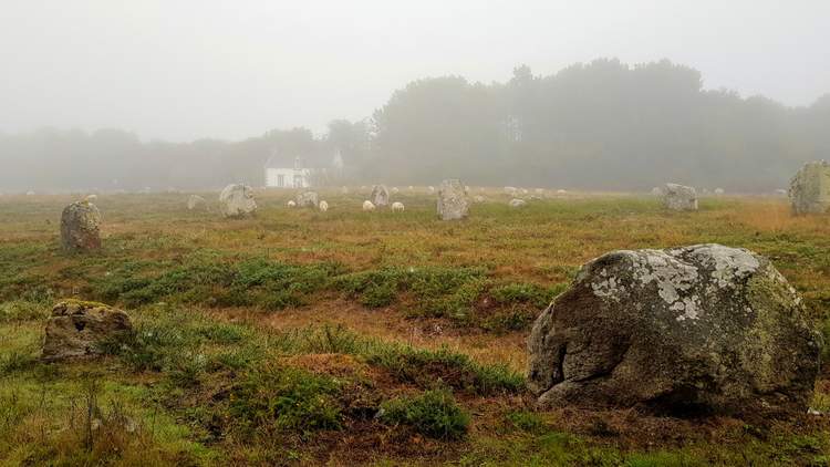 visite des alignements de Carnac dans le Morbihan