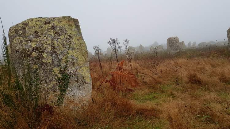 visite des alignements de Carnac dans le Morbihan