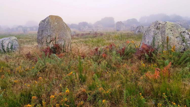 visite des alignements de Carnac dans le Morbihan