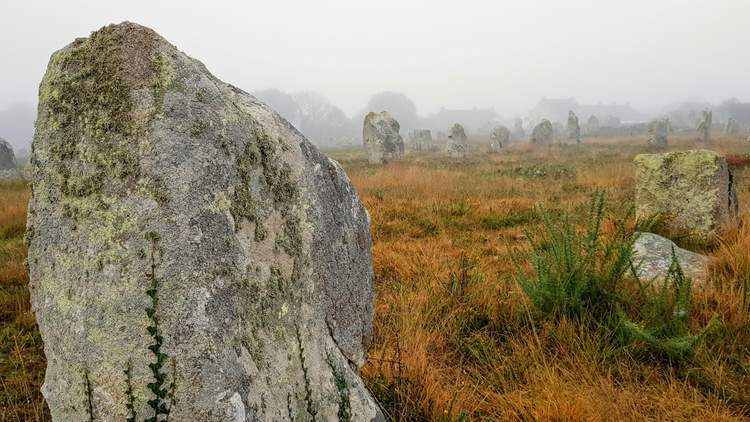 visite des alignements de Carnac dans le Morbihan