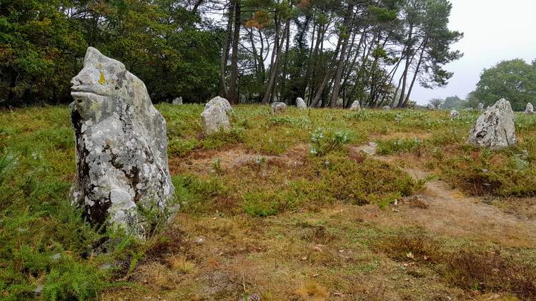 visite des alignements de Carnac dans le Morbihan