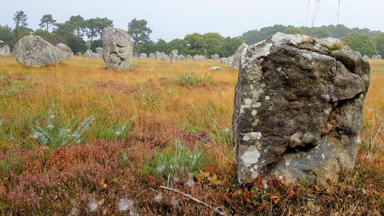 visite des alignements de Carnac dans le Morbihan