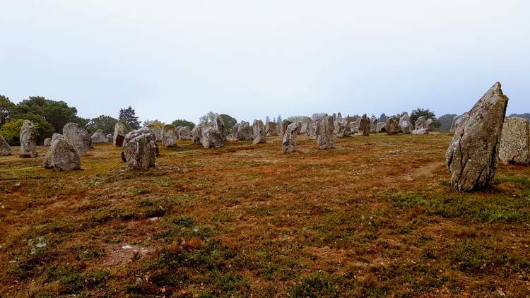 visite des alignements de Carnac dans le Morbihan