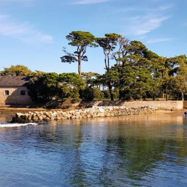 Découvrez l’île Berder près de Larmor-Baden