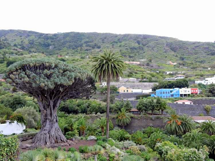 les plus beaux sites naturels de Tenerife aux Canaries