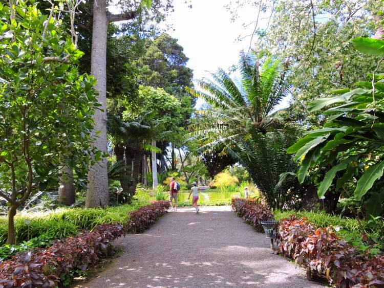 les plus beaux sites naturels de Tenerife aux Canaries