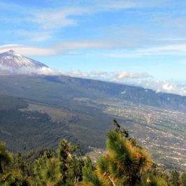les plus beaux sites naturels de Tenerife aux Canaries