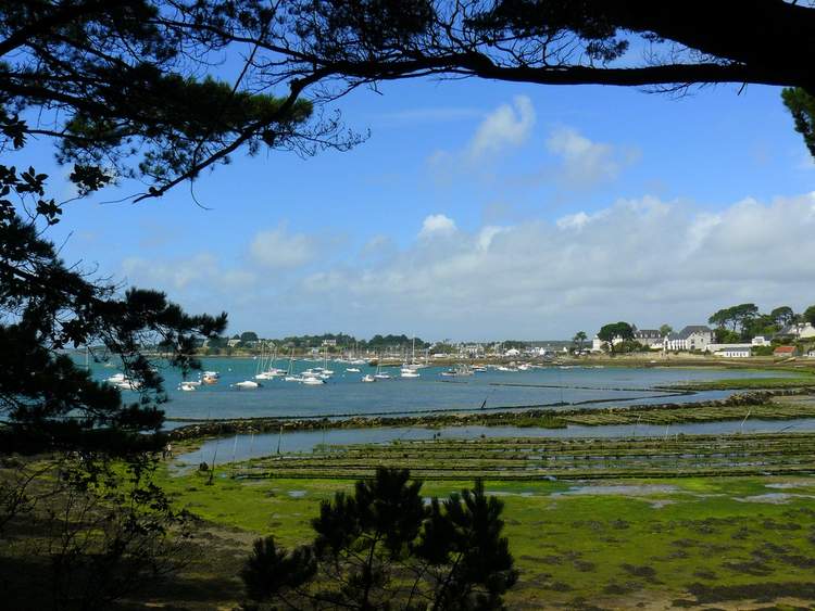 île de Berder à Larmor-Baden