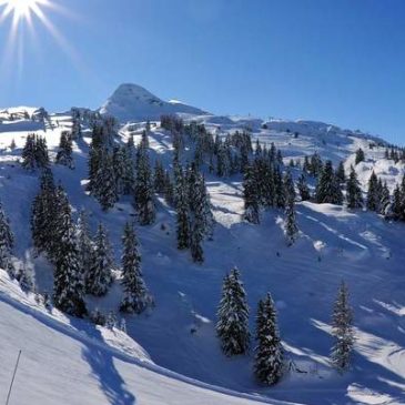 Que faire à Châtel en hiver ?