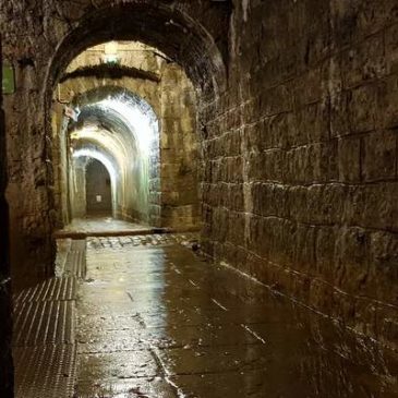Visitez le fort de Douaumont