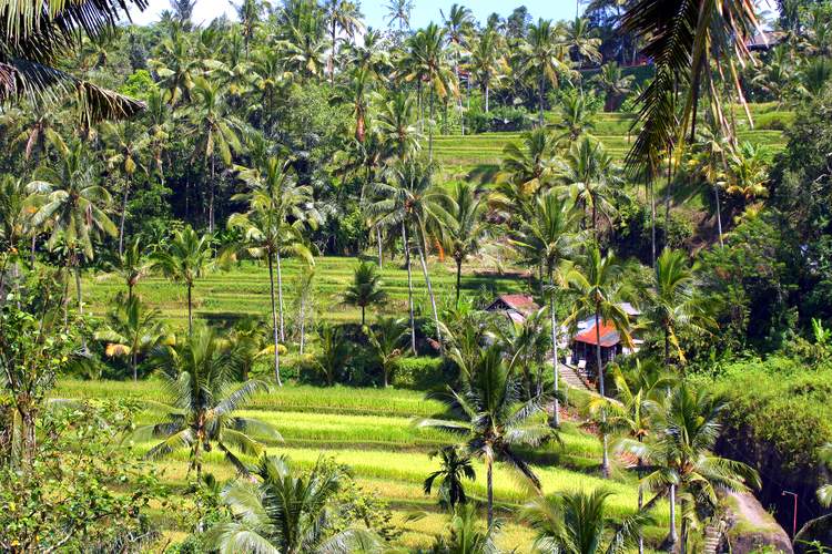 visite du temple Gunung Kawi à Bali