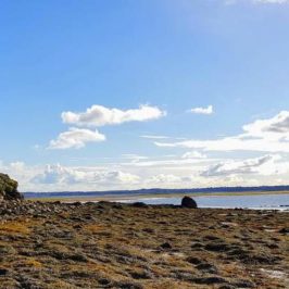 découvrez l'île Tascon dans le Golfe du Morbihan