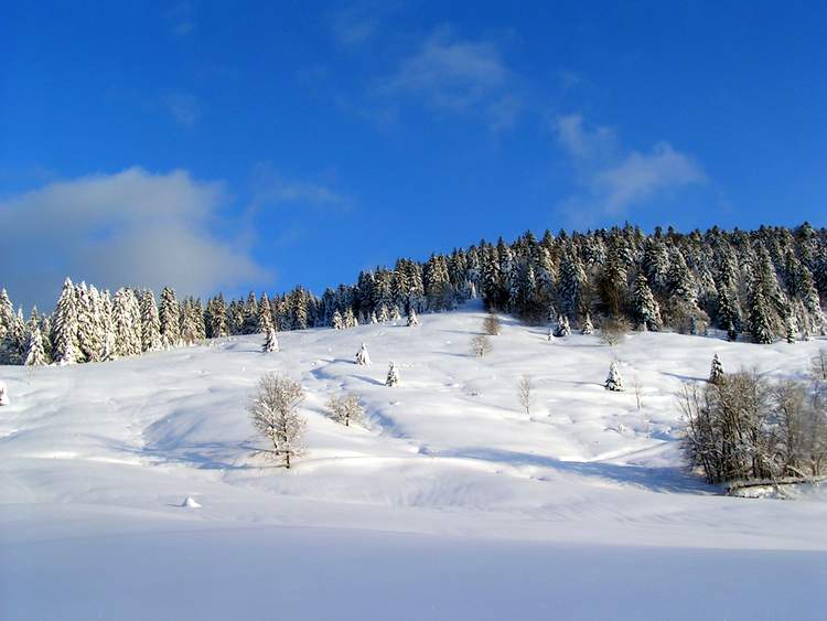 que faire à la Bresse en hiver dans le Massif des Vosges ?