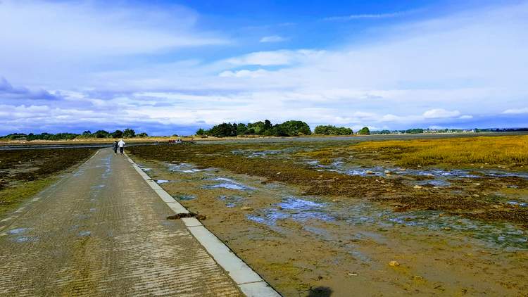 découvrez l'île Tascon dans le Golfe du Morbihan