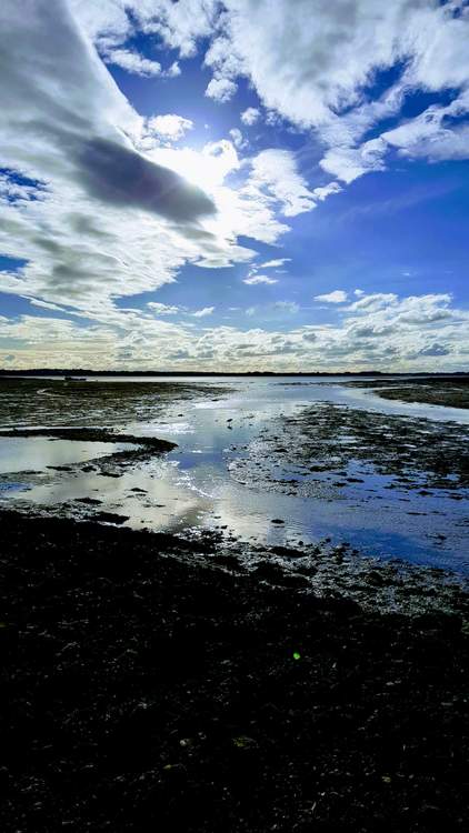 découvrez l'île Tascon dans le Golfe du Morbihan