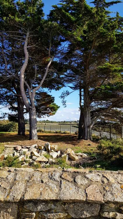 découvrez l'île Tascon dans le Golfe du Morbihan