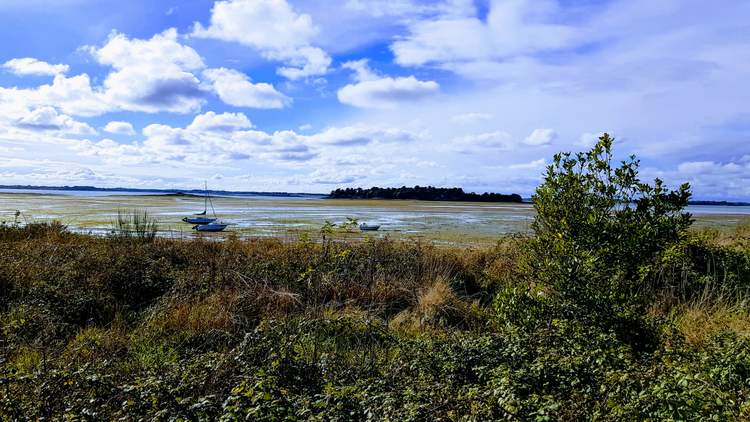 découvrez l'île Tascon dans le Golfe du Morbihan