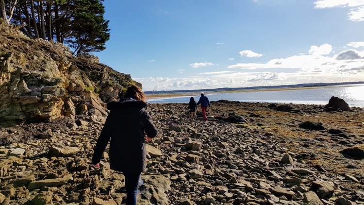 découvrez l'île Tascon dans le Golfe du Morbihan