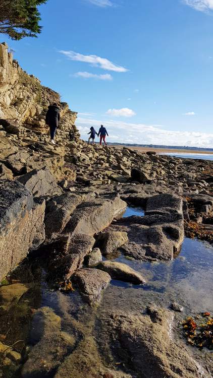 découvrez l'île Tascon dans le Golfe du Morbihan