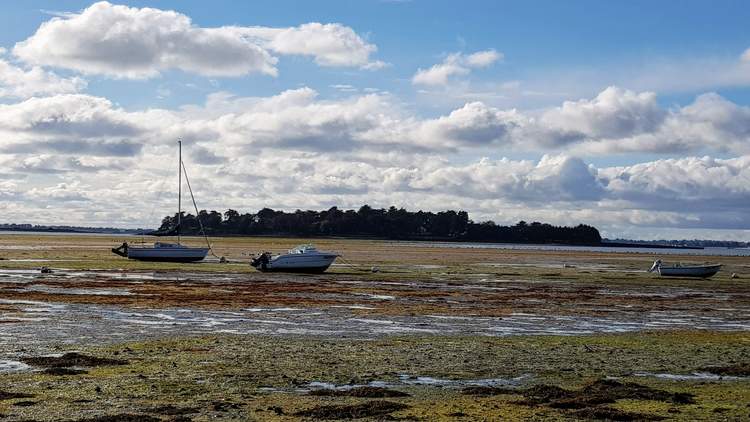 découvrez l'île Tascon dans le Golfe du Morbihan