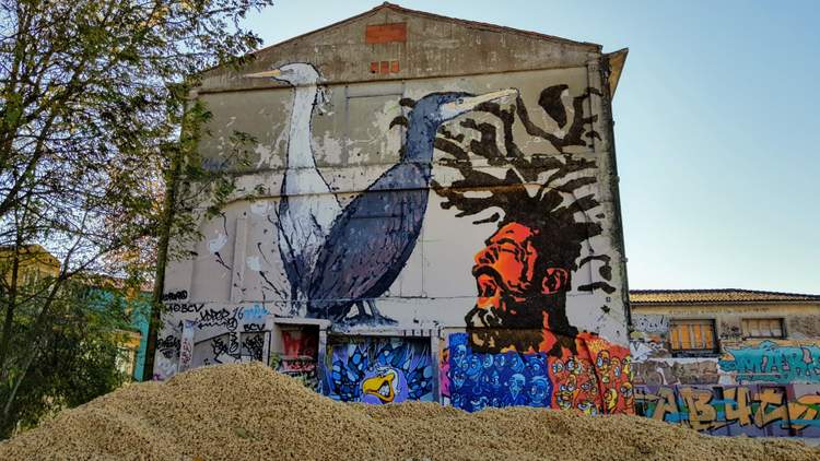découverte du street art à La Rochelle