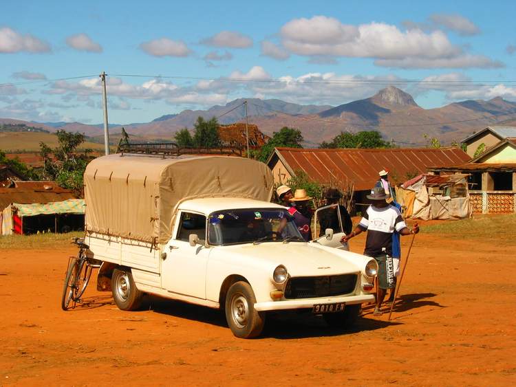 marché aux zébus à Madagascar