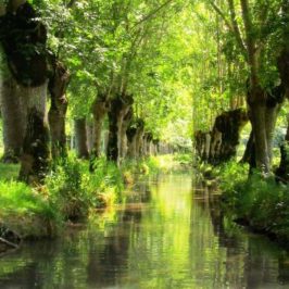 que faire dans les Deux-Sèvres : barque dans le marais poitevin