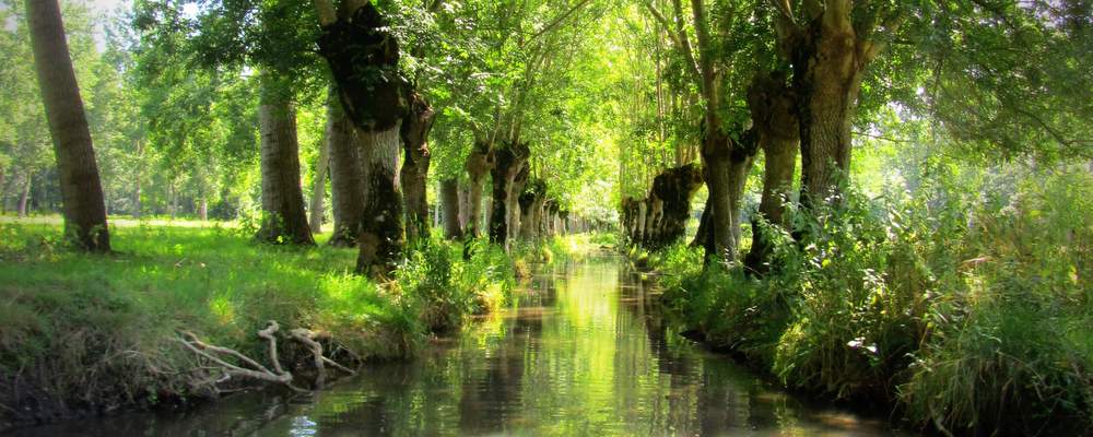 que faire dans les Deux-Sèvres : barque dans le marais poitevin