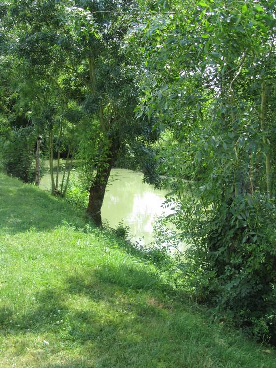 visite de l'abbaye de Maillezais en Vendée