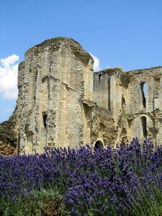 visite de l'abbaye de Maillezais en Vendée