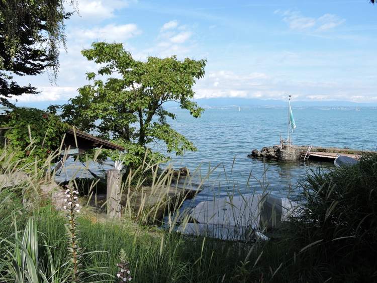 Visite des Jardins de l’eau du Pré-Curieux