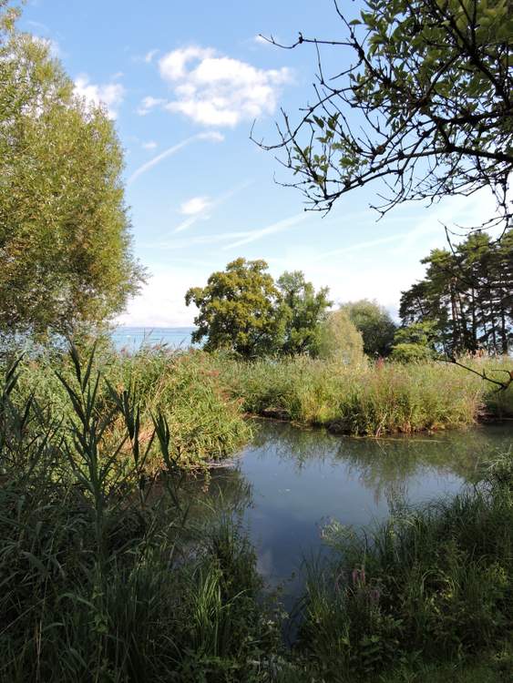 Visite des Jardins de l’eau du Pré-Curieux