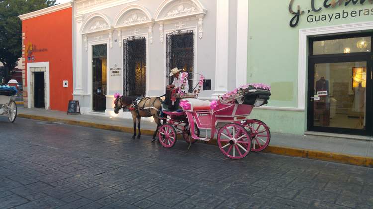 Que faire à Merida au Mexique ?