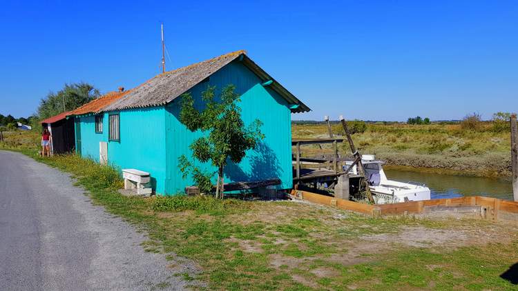 visite de Mornac sur Seudre près de Royan