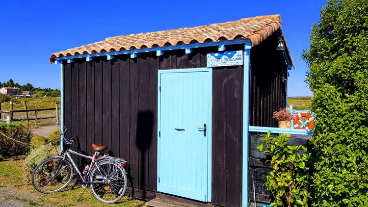 visite de Mornac sur Seudre près de Royan