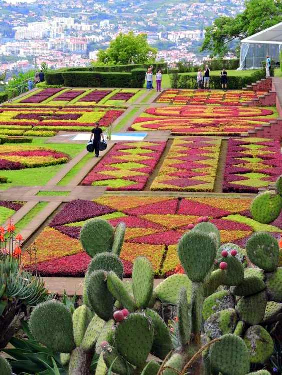 visite des jardins de Madère - Botanical Garden