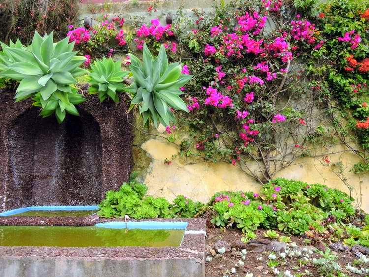 visite des jardins de Madère - Botanical Garden