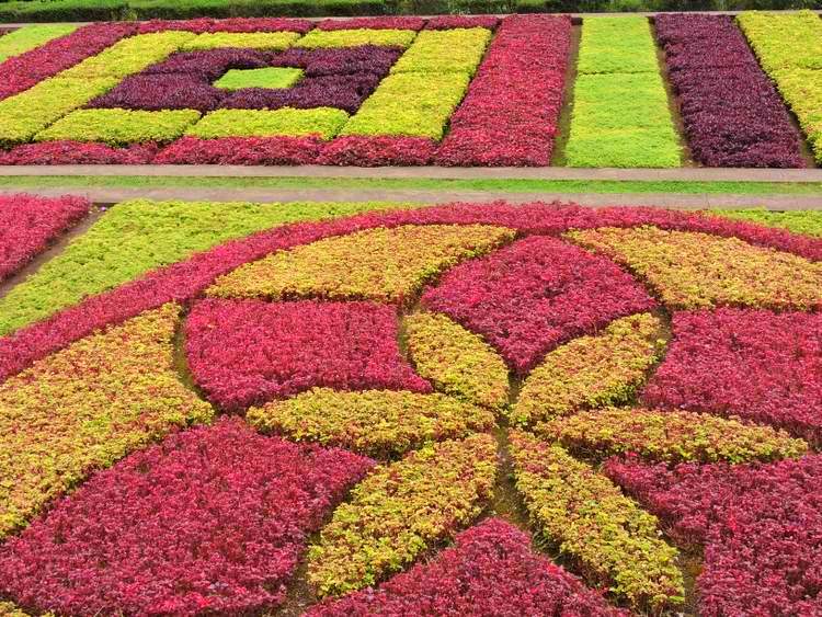 visite des jardins de Madère - Botanical Garden