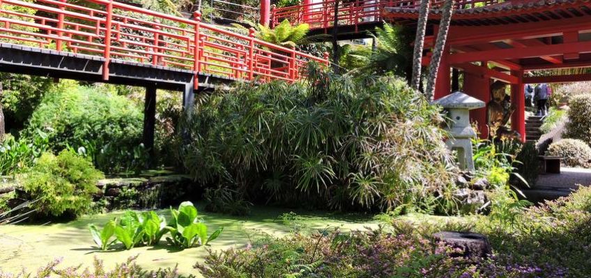 quels jardins visiter à Madère ?