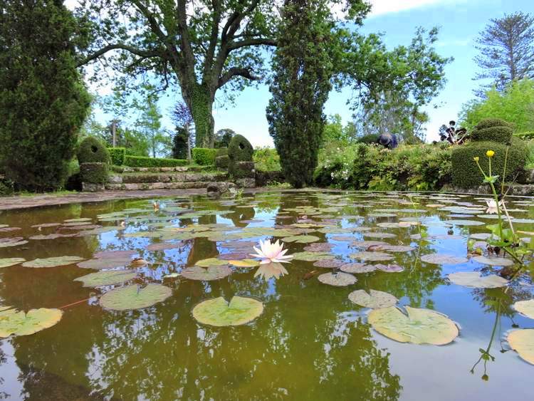 visite des jardins de Madère - jardins de Palheiro 