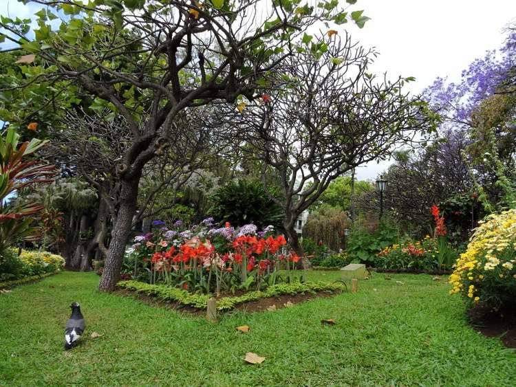 visite des jardins de Madère - parque santa catarina