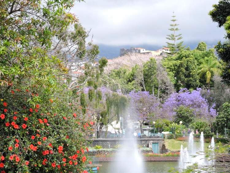 visite des jardins de Madère - parque santa catarina