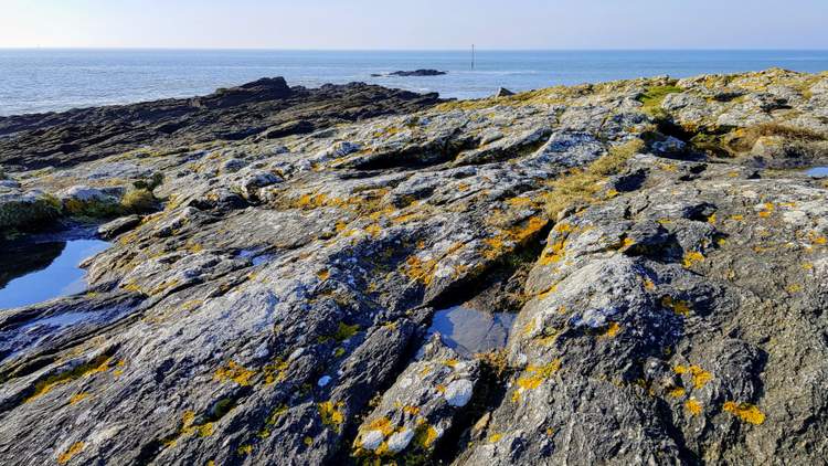 que faire à Saint Gildas de Rhuys ? Randonnée au Grand Mont 