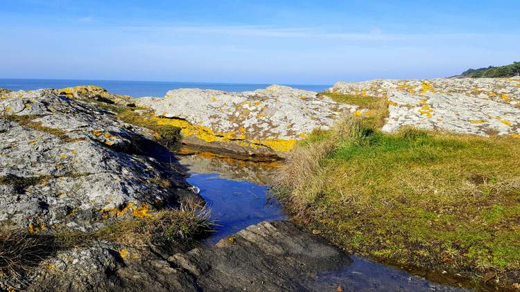 que faire à Saint Gildas de Rhuys ? Randonnée au Grand Mont 