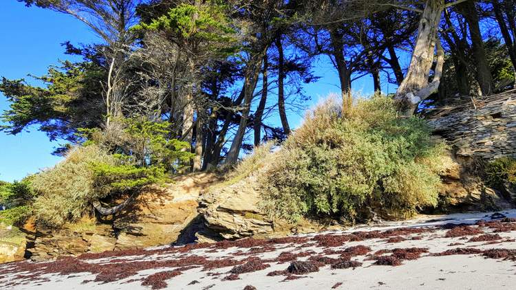 que faire à Saint Gildas de Rhuys ? Randonnée au Grand Mont 