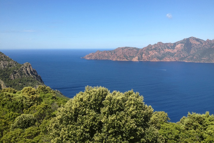 randonnée en Corse - golfe de Porto